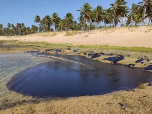 GAA dispara relatório diário sobre óleos em praias do Nordeste